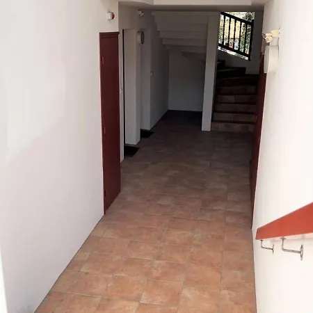 Rdc A Cambo-les-bains, Terrasse, Animaux Acceptes - Fr-1-495-13 *