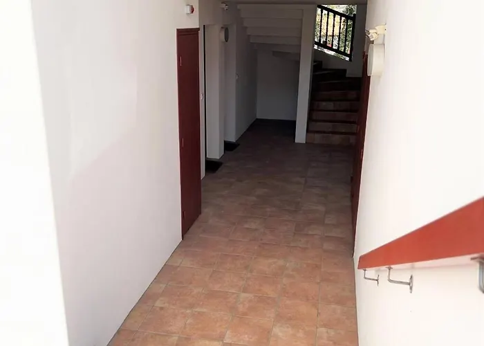 Rdc A Cambo-les-bains, Terrasse, Animaux Acceptes - Fr-1-495-13 *